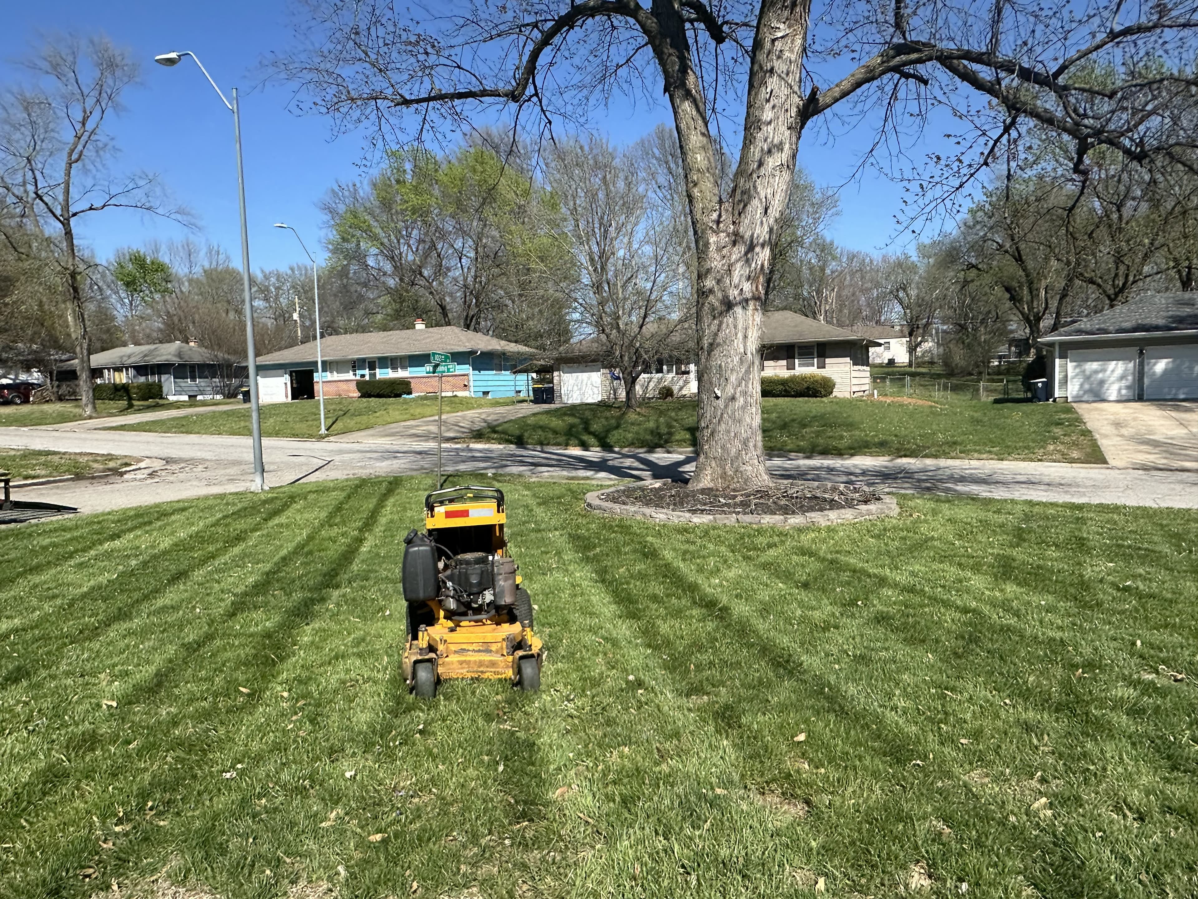 Lawn 10