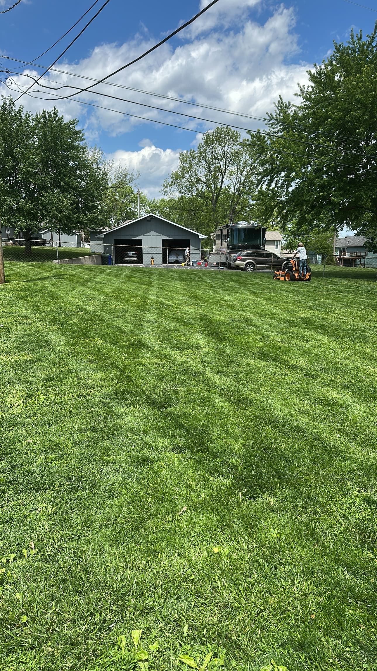 Lawn 6