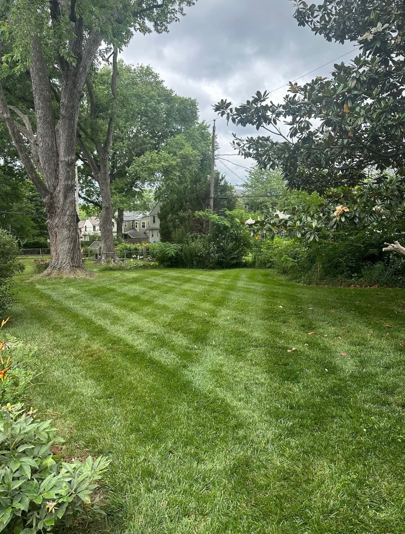 Lawn 8